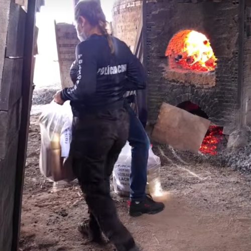DENARC RO realiza incineração de aproximadamente 450 kg de entorpecentes – VÍDEO