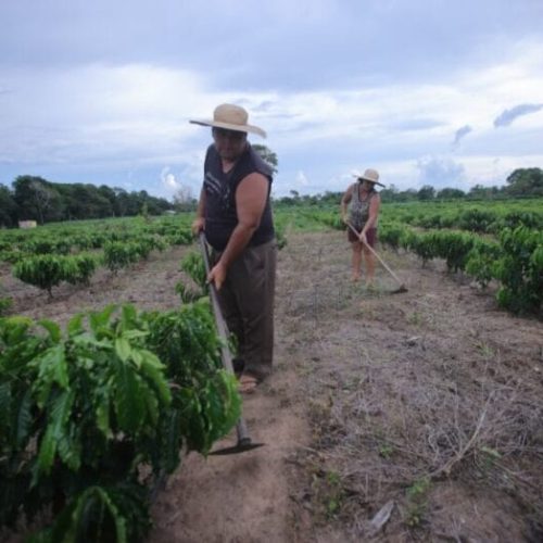 Programa nacional de crédito fundiário garante R$ 4,8 milhões de investimentos na agricultura familiar