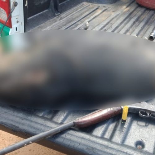 Polícia Ambiental prende dois homens por caça ilegal em Nova Mamoré