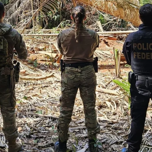 PF deflagra operação contra crimes ambientais em Terra Indígena em Rondônia