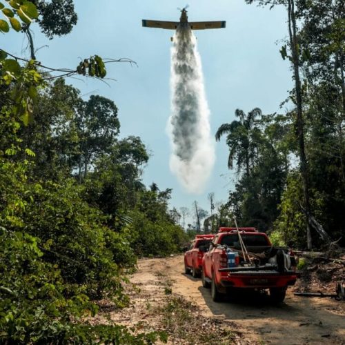 Missões estratégicas e humanitárias marcam ações de proteção e resgate em 2024