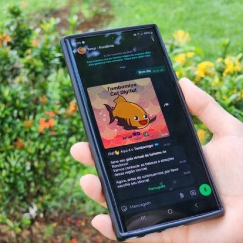 Governo de RO moderniza gestão pública com tecnologia e facilita acesso a mais de 150 serviços