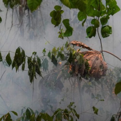 Medidas que podem reduzir os impactos da fumaça são reforçadas