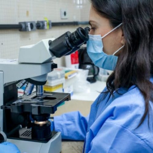 Diagnósticos e tratamentos para malária e hepatites virais são oferecidos pelo Centro de Pesquisa em Medicina de Rondônia