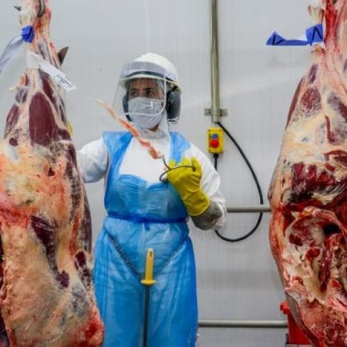 Plataforma Geração Emprego do governo de RO apresenta mais de 2 mil vagas de emprego com destaque ao setor frigorífico