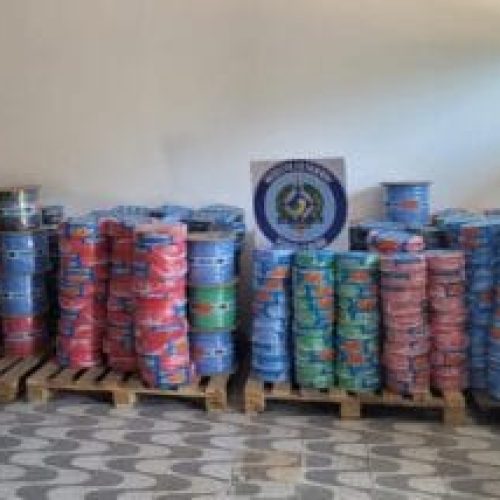 Ação conjunta entre governo de RO e do Amazonas apreende mercadorias irregulares