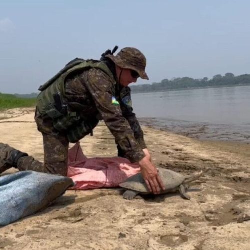 “Operação Águas Seguras” em Rondônia combate crimes nos rios Madeira, Mamoré e Guaporé