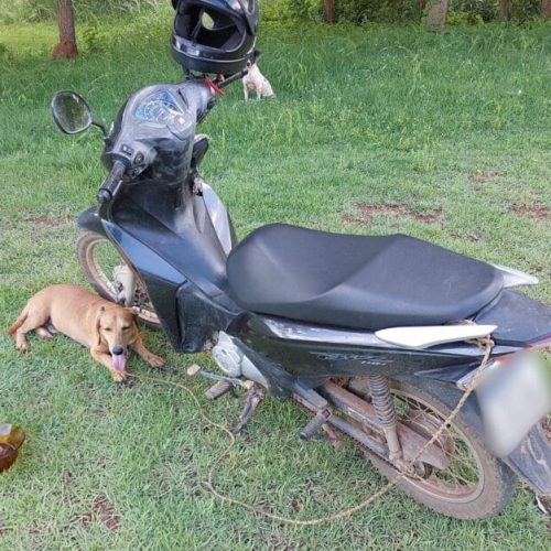 Homem é multado e preso por arrastar cachorro amarrado em motocicleta