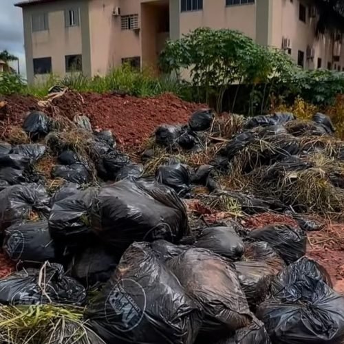 Empresa MB Serviços recém chegada em Porto Velho descarta resíduo de lixo no bairro Três Marias