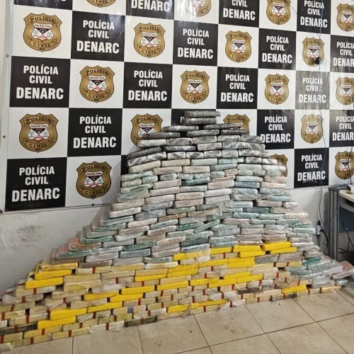 Denarc realiza grande apreensão de cocaína em operação na BR 364