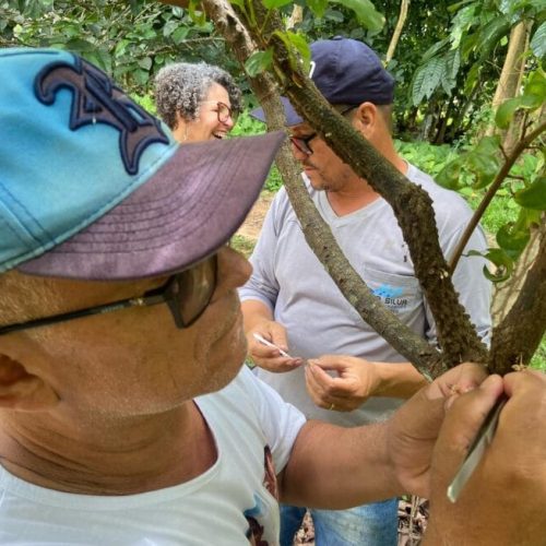 Governo de RO impulsiona gestão pública na 3ª Reunião do Polo Cacau Amazônico
