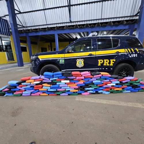 Caminhoneiro e dois comparsas são presos com mais de 180 quilos de maconha na BR-364