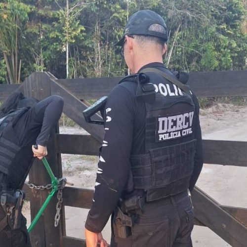 Polícia Civil investiga assassinato de três pessoas carbonizadas em propriedade rural