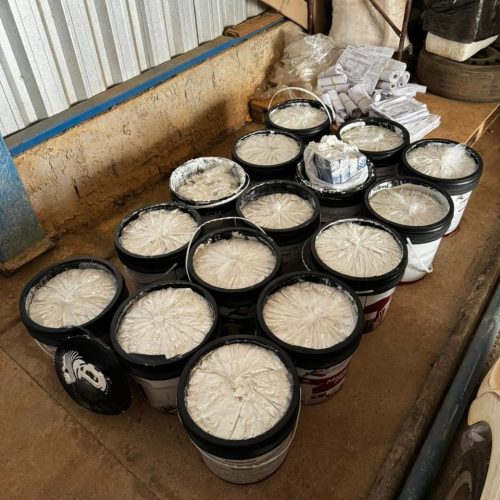 PF desarticula organização criminosa durante operação simultânea em Rondônia, Ceará e Goiás