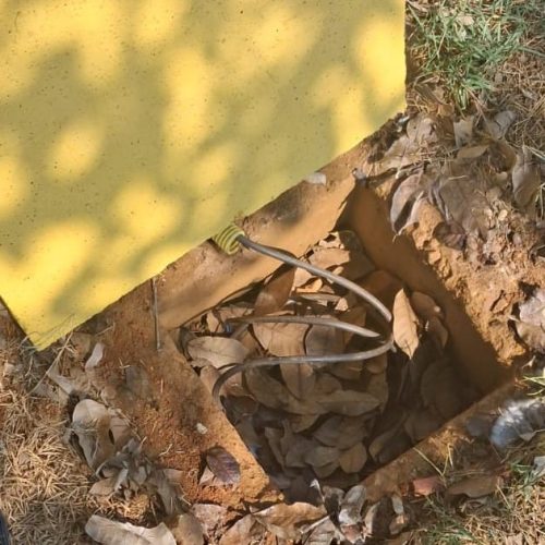 Praça Marise Castiel sofre furto de fios menos de 24h após inauguração