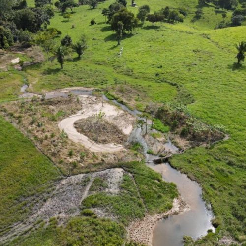 Ações de recuperação de nascentes são fortalecidas pelo governo de RO na microbacia do Rio Araras, em Cerejeiras