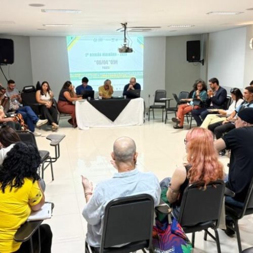 Reunião do Conselho Estadual de Política Cultural de Rondônia alinha ações e investimentos para o setor em 2026