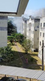 Atuação conjunta da Polícia Militar de Rondônia resulta em prisão por incêndio criminoso, violência doméstica e maus-tratos a animais