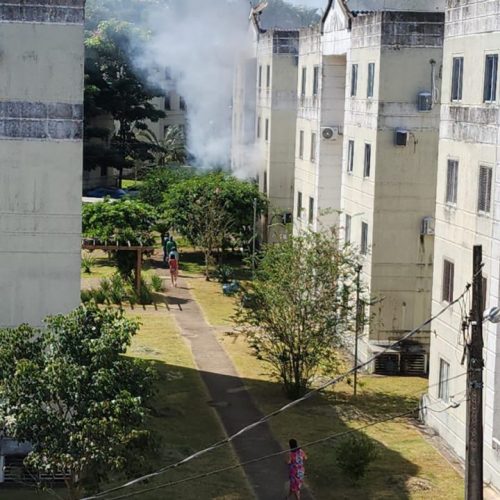 Atuação conjunta da Polícia Militar de Rondônia resulta em prisão por incêndio criminoso, violência doméstica e maus-tratos a animais