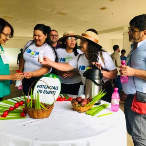 Economia verde aplicada ao ensino profissionalizante tem caso de sucesso em Rondônia