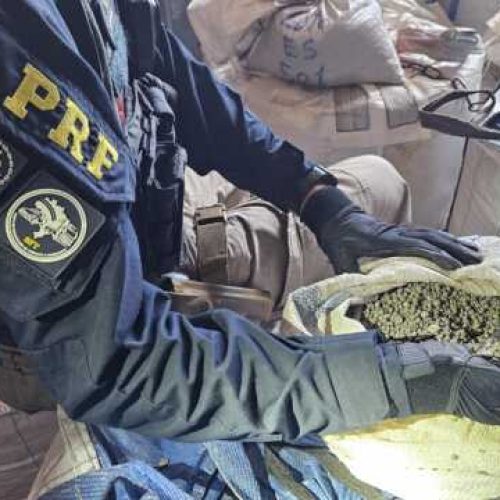 PRF faz a maior apreensão de minérios ilegais de Rondônia