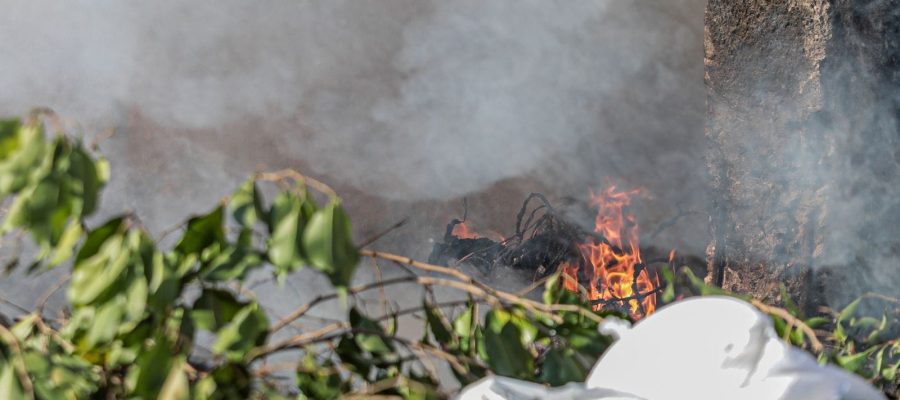Lei Municipal com multa de até R$ 10 milhões ajuda a reduzir queimadas na capital