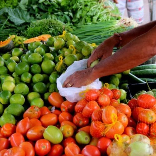 Cláudia de Jesus pede prorrogação do prazo de entrega do Programa de Aquisição de Alimentos