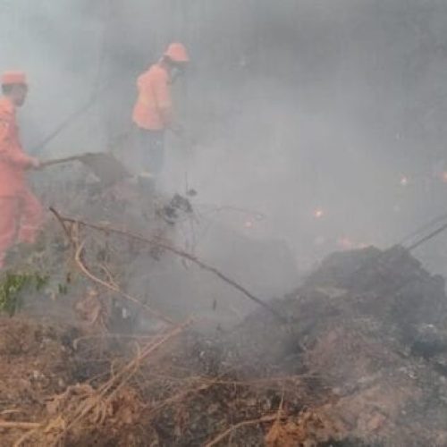 Corpo de Bombeiros Militar intensifica ações da Operação Verde Rondônia no combate aos incêndios no estado