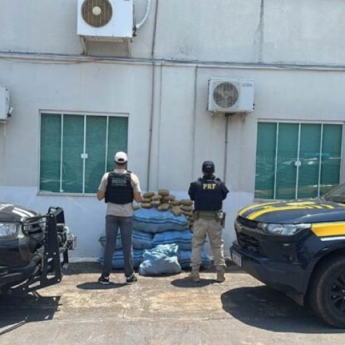 Ação conjunta entre PRF e PCRO resulta na apreensão de quase 200 kg de “supermaconha” em Rondônia