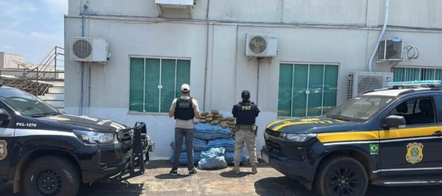 Ação conjunta entre PRF e PCRO resulta na apreensão de quase 200 kg de “supermaconha” em Rondônia
