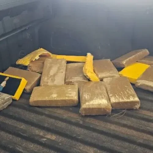 Ação conjunta entre PRF em Rondônia, PMRO e PCRO resulta na apreensão de cerca de 250 kg de drogas em RO