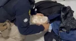 PRF apreende entorpecentes e prende suspeito em Porto Velho