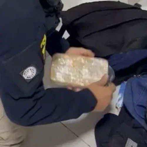 PRF apreende entorpecentes e prende suspeito em Porto Velho