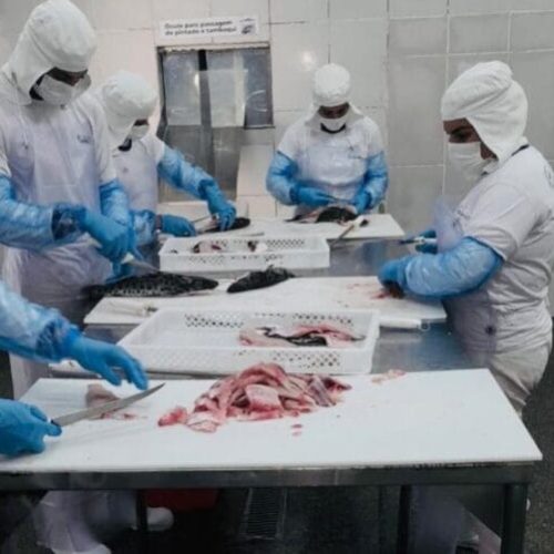 Ministério da Agricultura autoriza adesão de agroindústrias de leite, ovos e pescados ao Sistema de Inspeção de produtos de Rondônia