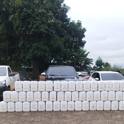 Forças de Segurança apreendem agrotóxicos irregulares em Rondônia