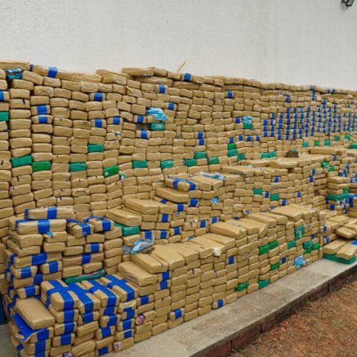 Governo de RO registra apreensão recorde de entorpecentes no primeiro semestre de 2025