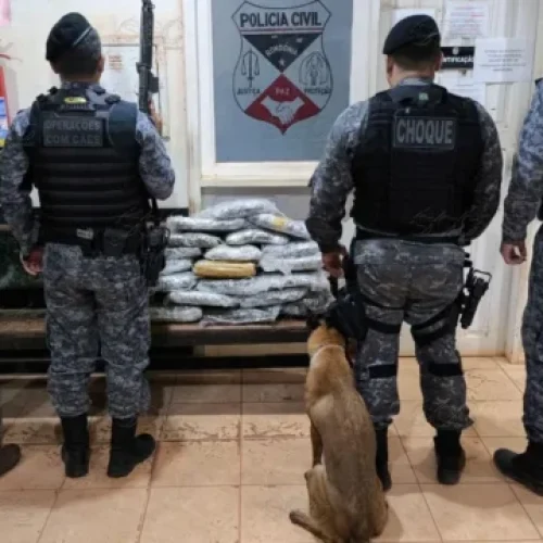 Denúncia Anônima Leva à Apreensão de 20 kg de Maconha em Guajará-Mirim Entorpecente estava escondido em terreno abandonado