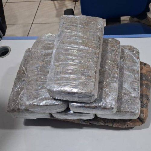Força Tática apreende grande quantidade de maconha e conduz adolescente por ato infracional em Porto Velho