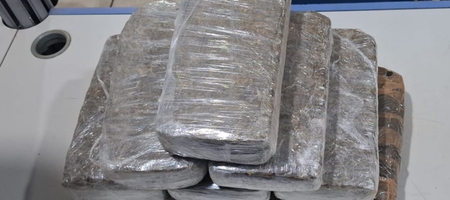 Força Tática apreende grande quantidade de maconha e conduz adolescente por ato infracional em Porto Velho