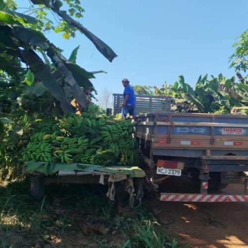 CADASTRAMENTO: Prefeitura de Porto Velho convoca agricultores familiares para atualização de cadastro rural