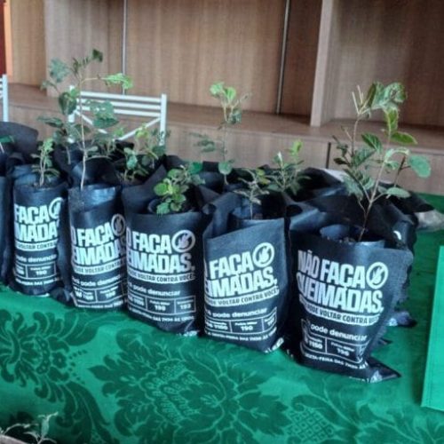 Final de Semana Sustentável tem início nesta sexta-feira com programação voltada a educação ambiental