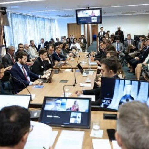 Governo de RO participa de audiência no Supremo Tribunal Federal para fortalecer controle do desmatamento