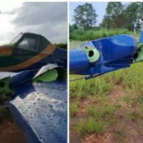 COLORADO DO OESTE: Avião colide com árvore após piloto desviar de cães na pista