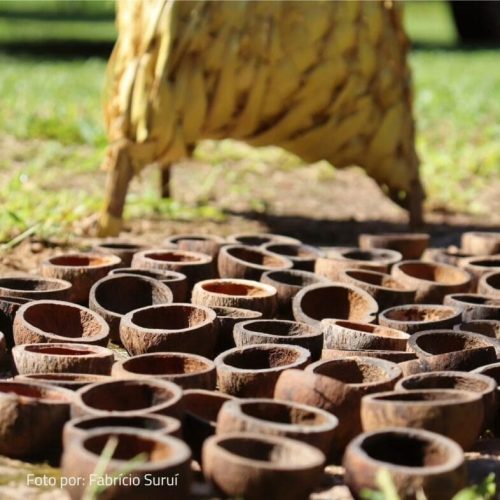 Diversidade amazônica inspira arte, moda, acessórios e gera impacto na economia de comunidades tradicionais