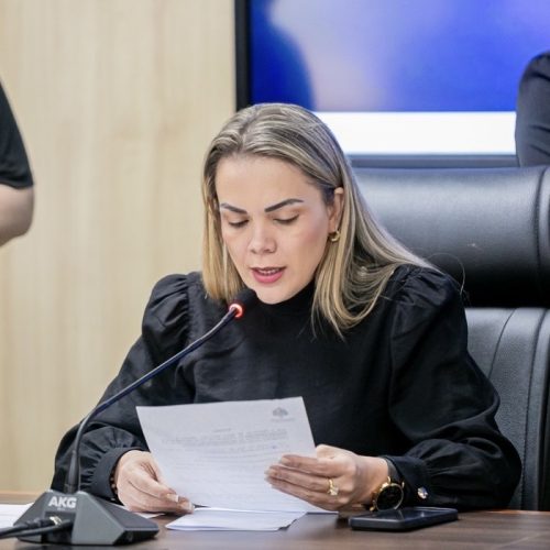 Cláudia de Jesus assume presidência da CPI do Leite e reforça investigação sobre crise no setor