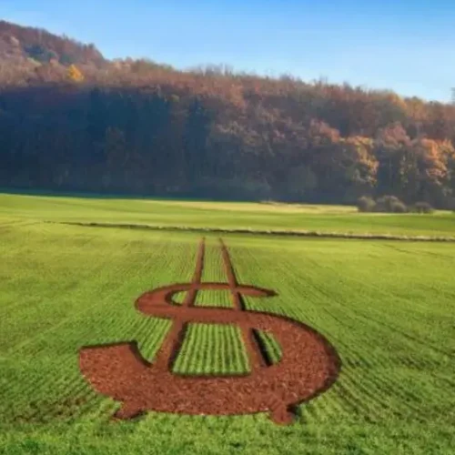 Crédito rural em alerta: alongar dívidas é estratégia para a safra 2026, diz especialista