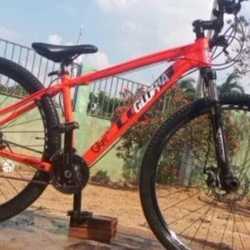 Criança autista é abordada por criminoso e tem bicicleta roubada