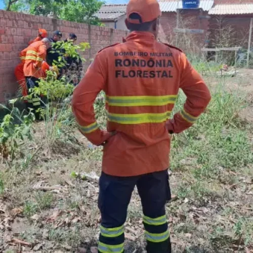 Bombeiros e Polícia Militar fazem buscas por possível corpo em poço em Porto Velho