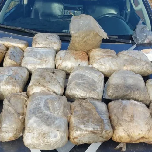 BPCHOQUE apreende 21 tabletes de skunk em operação contra o tráfico em Nova Mamoré