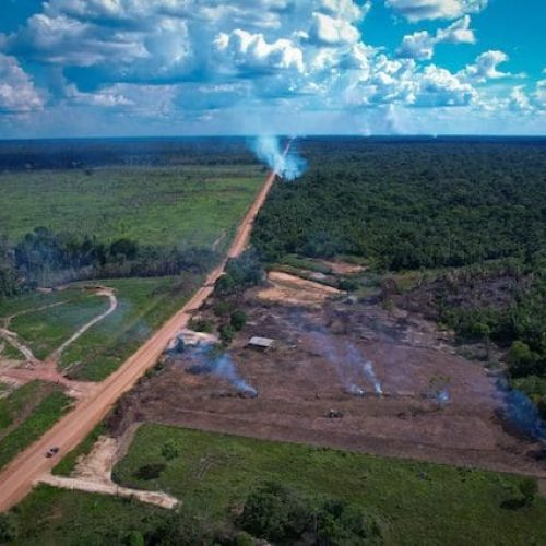 Relatório do Ministério dos Transportes não apresenta plano concreto contra impactos ambientais de obras na BR-319